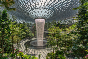 森林谷 (Forest Valley)